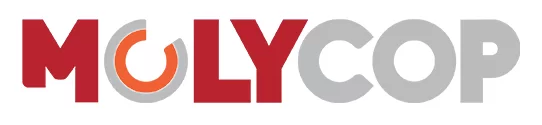 Cliente logo_686fe44ede66f.png